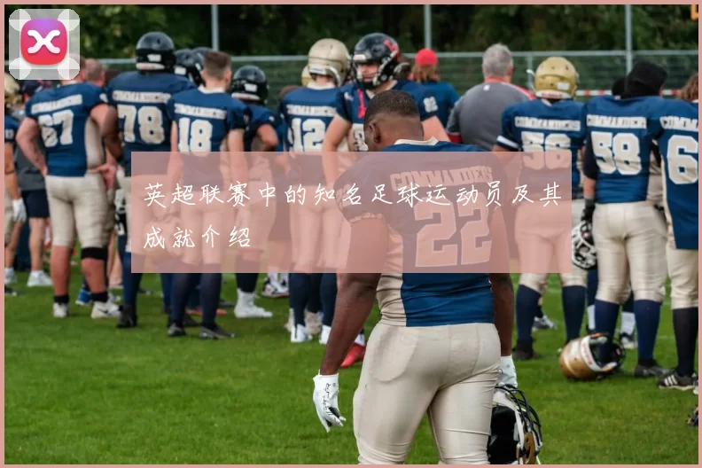英超联赛中的知名足球运动员及其成就介绍