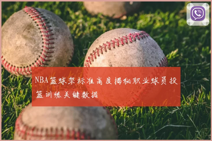 NBA篮球架标准高度揭秘职业球员投篮训练关键数据