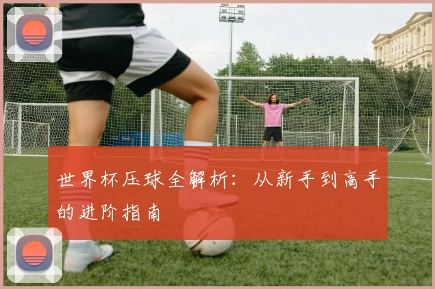 世界杯压球全解析：从新手到高手的进阶指南