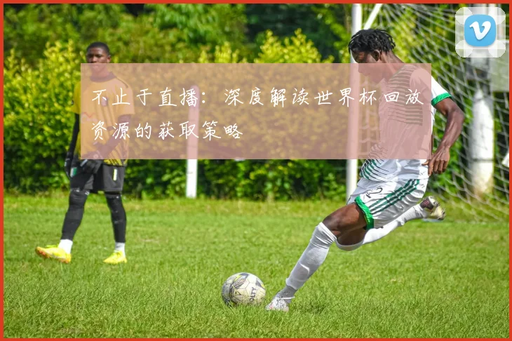 不止于直播:深度解读世界杯回放资源的获取策略