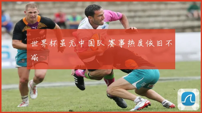 世界杯虽无中国队 赛事热度依旧不减