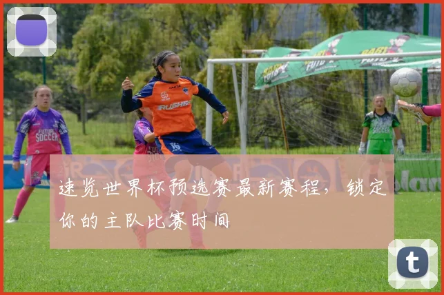 速览世界杯预选赛最新赛程，锁定你的主队比赛时间