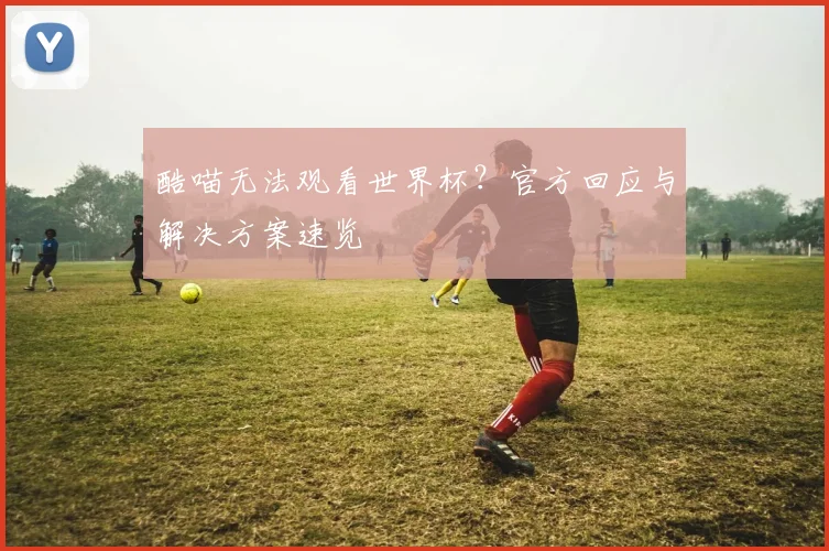 酷喵无法观看世界杯？官方回应与解决方案速览