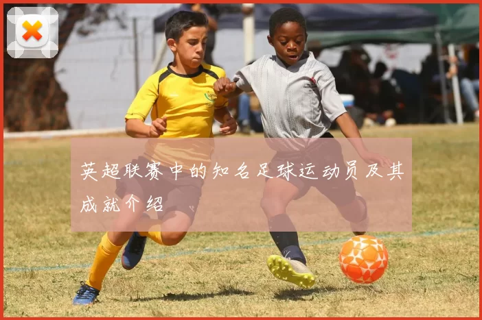 英超联赛中的知名足球运动员及其成就介绍