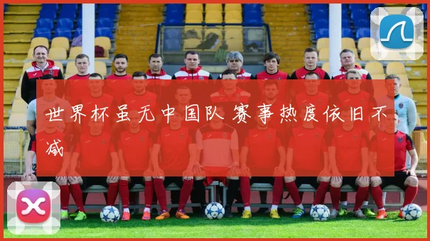 世界杯虽无中国队 赛事热度依旧不减