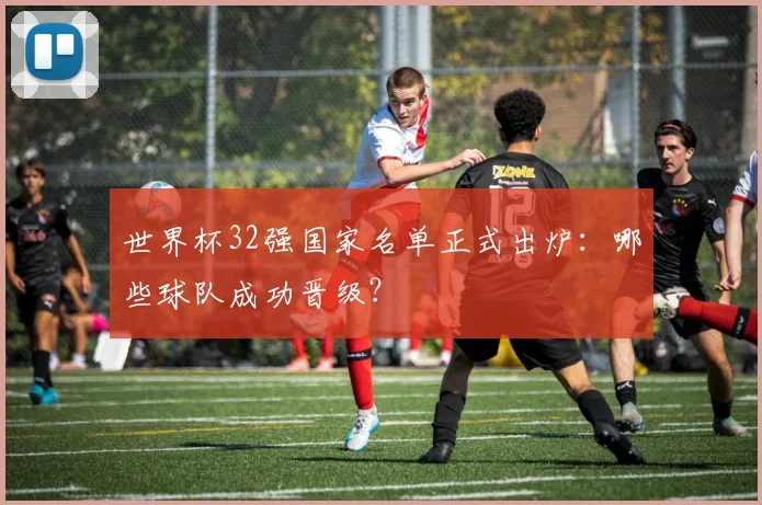 世界杯32强国家名单正式出炉：哪些球队成功晋级？