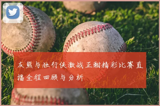 灰熊与独行侠激战正酣精彩比赛直播全程回顾与分析