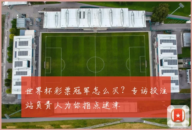 世界杯彩票冠军怎么买?专访投注站负责人为你指点迷津