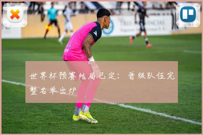世界杯预赛结局已定：晋级队伍完整名单出炉