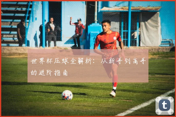 世界杯压球全解析:从新手到高手的进阶指南